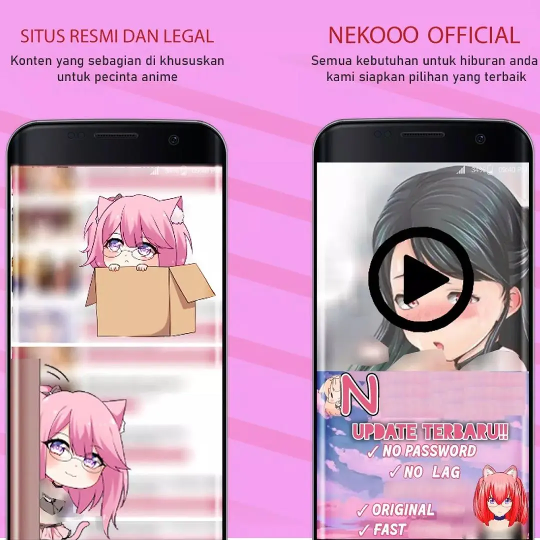 Video player Nekopoi APK HD